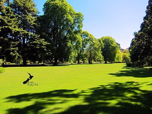 Hagley Park