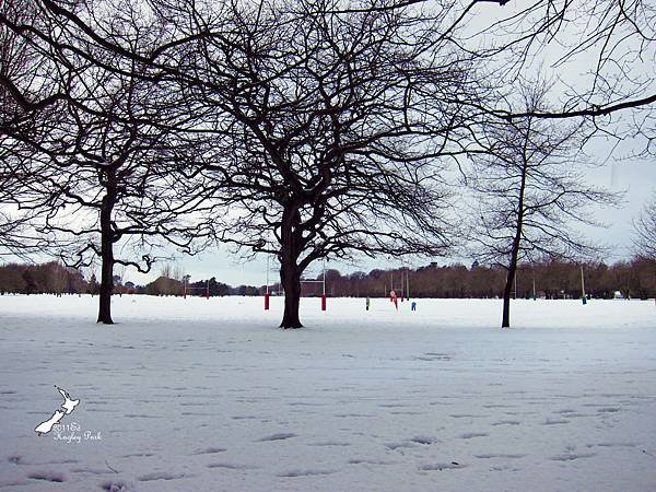 Hagley Park