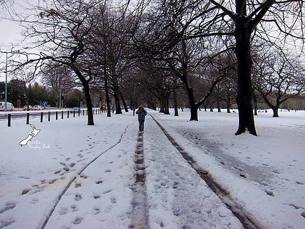 Hagley Park