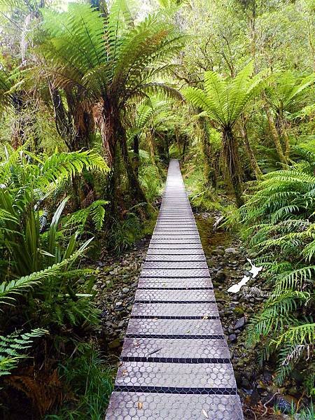 Lake Matheson