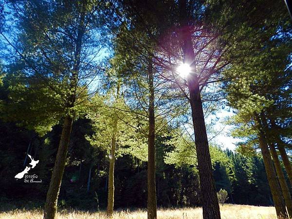 2/8Lake Nelson National Park