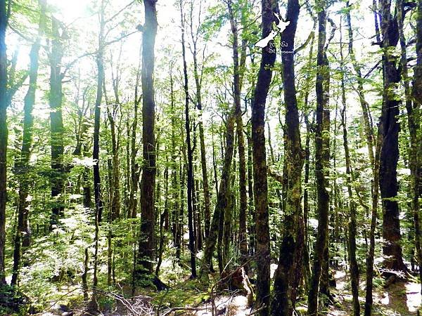 2/8Lake Nelson National Park