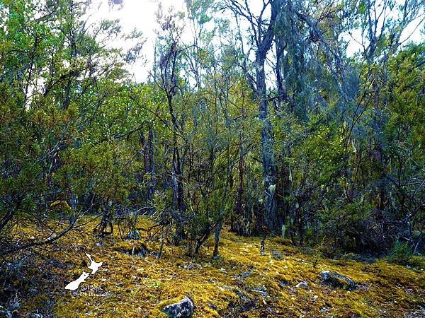 2/8Lake Nelson National Park