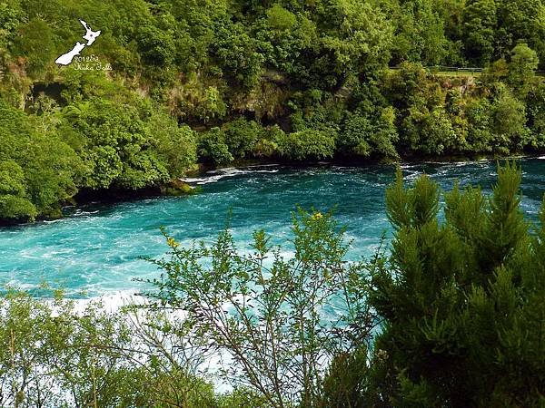 2/12 Huka Falls