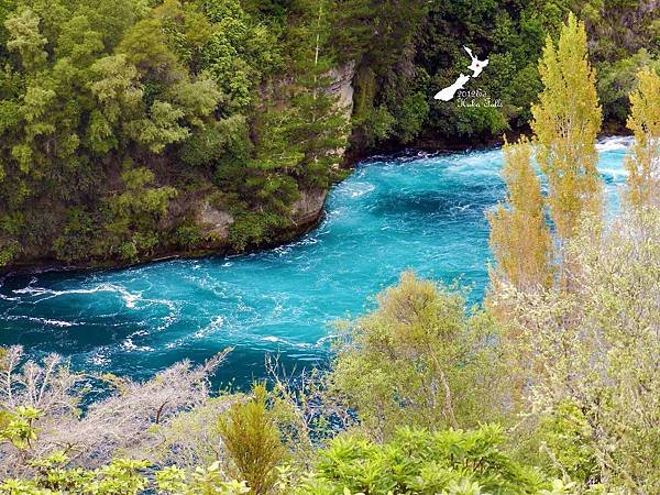 2/12 Huka Falls