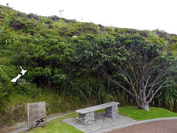 Cape Reinga