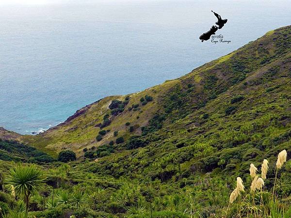 Cape Reinga