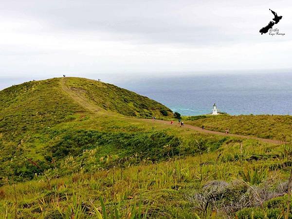 Cape Reinga