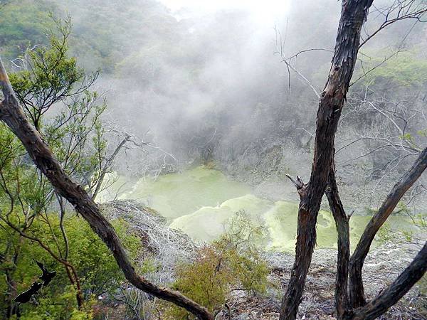 Rotorua