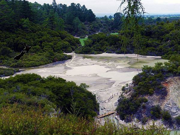 Rotorua