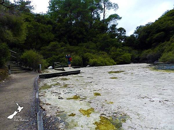 Rotorua