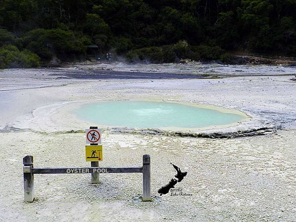 Rotorua