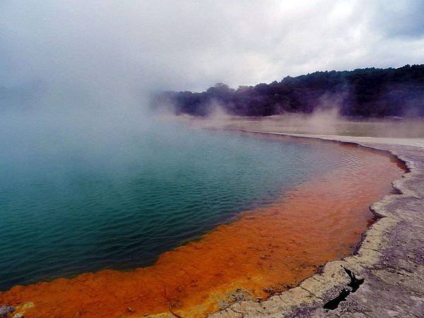 Rotorua