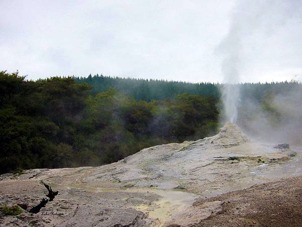 Rotorua