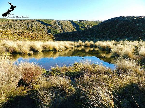 Tongariro