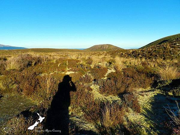 Tongariro