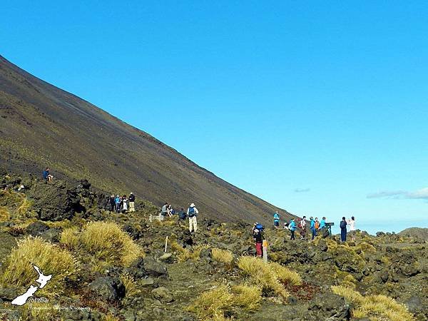 Tongariro