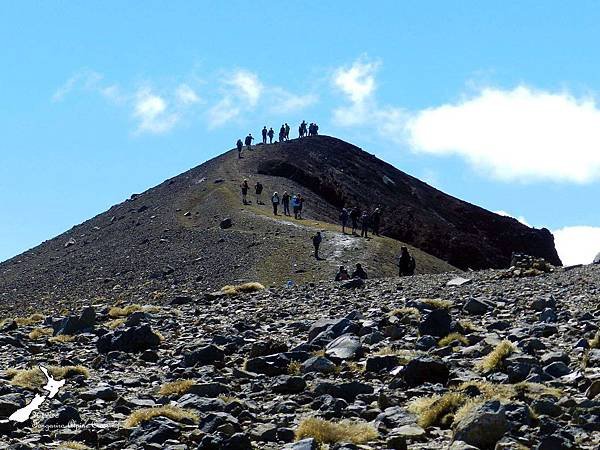 Tongariro