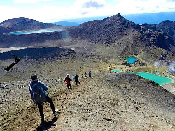 Tongariro