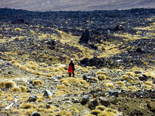 Tongariro