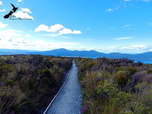 Tongariro