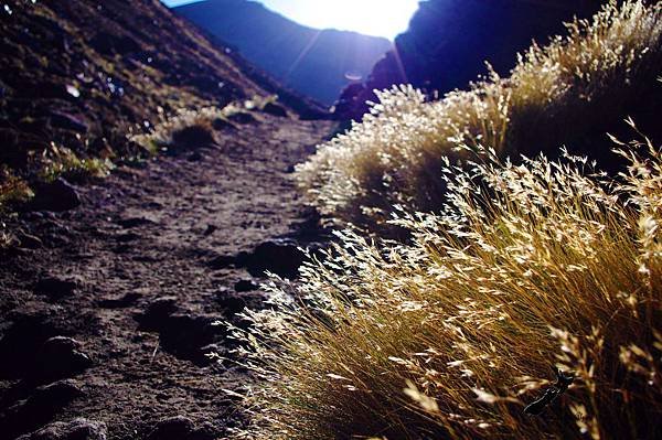 Tongariro