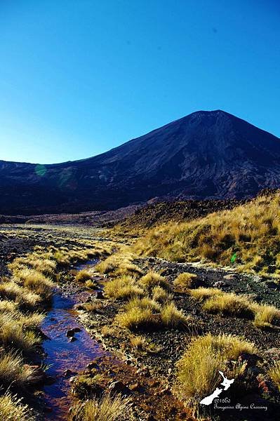 Tongariro