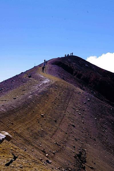 Tongariro