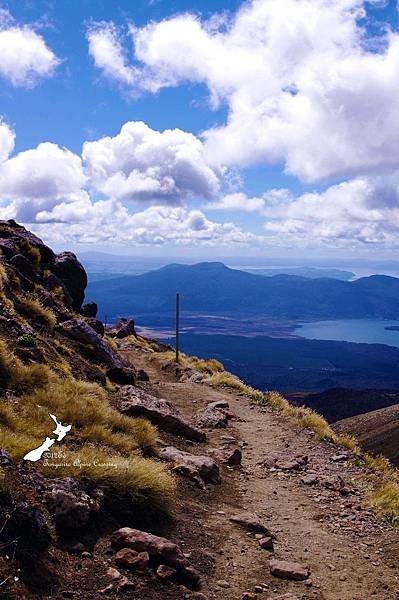 Tongariro