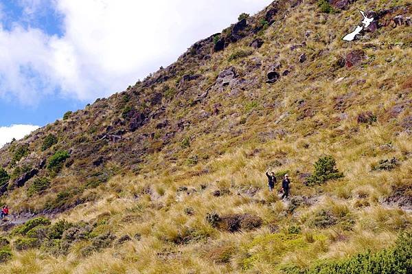 Tongariro