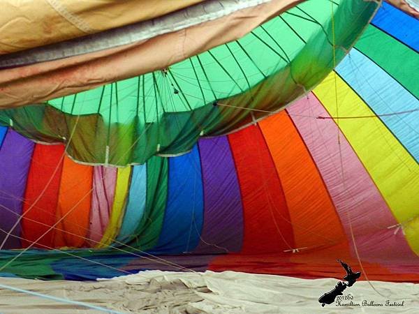 Hamilton Balloon Festival