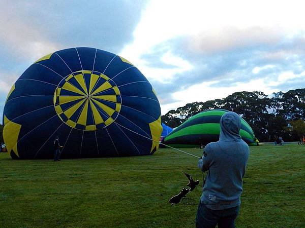 Hamilton Balloon Festival