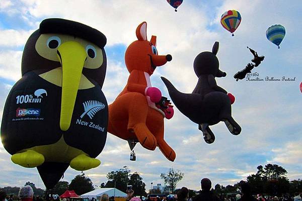 Hamilton Balloon Festival