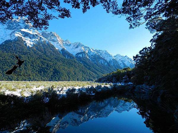 Milford Sound