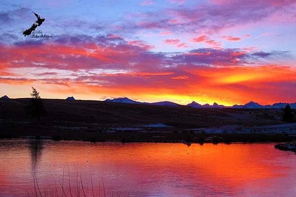 Lake Tekapo