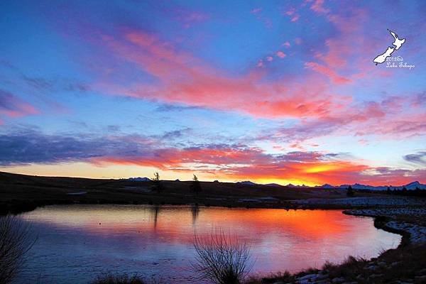 Lake Tekapo