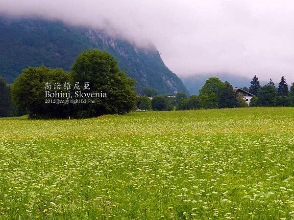 Bohinj