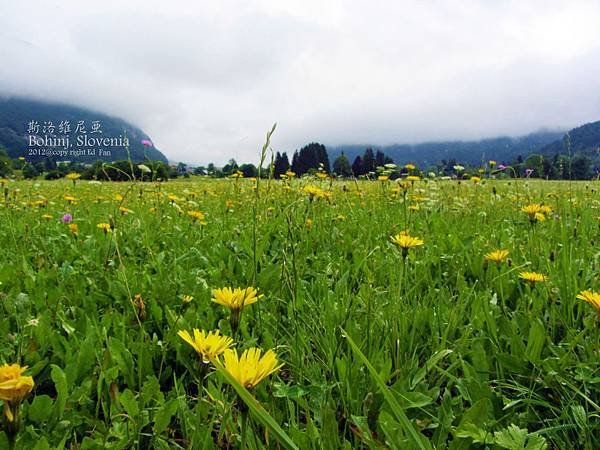 Bohinj