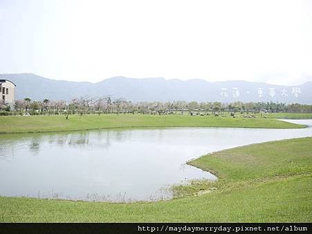 20110416-124239-049.JPG
