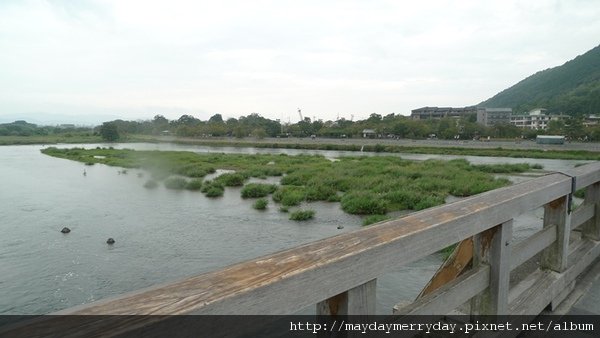 20101003-121436-011.JPG