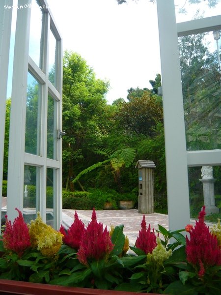 20090627-160022-075.JPG