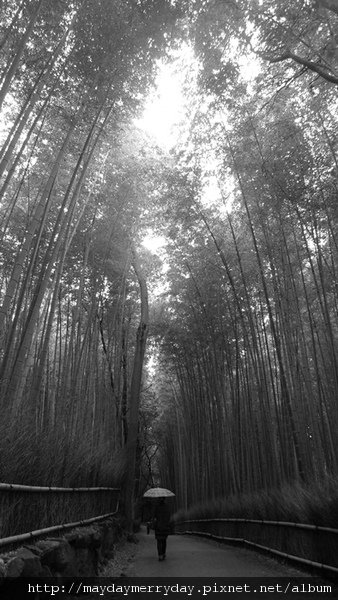 20101003-123926-032.JPG