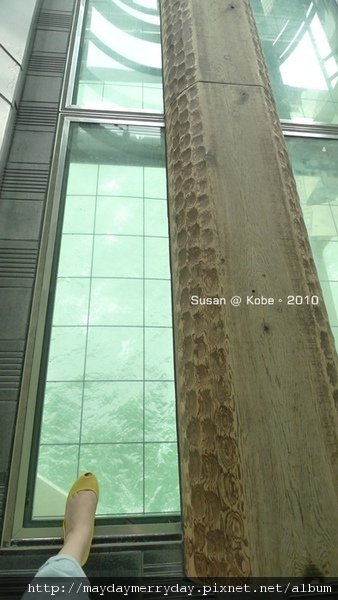 20101004-085317-063.JPG