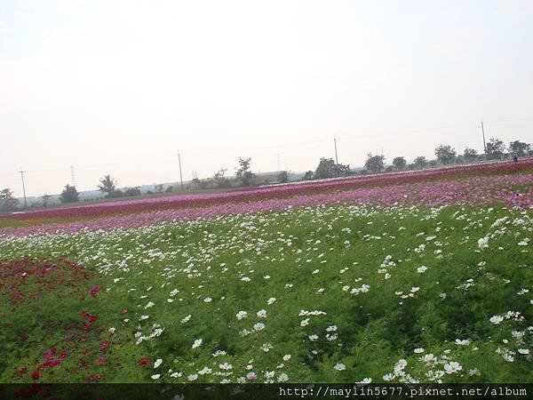 DSC04208.JPG