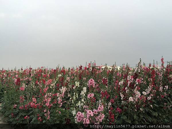 S__3227694.jpg