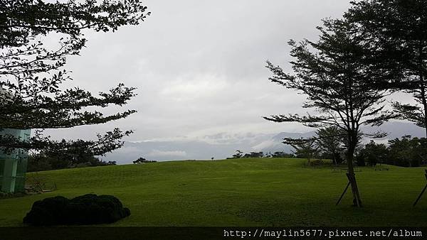 29542.jpg