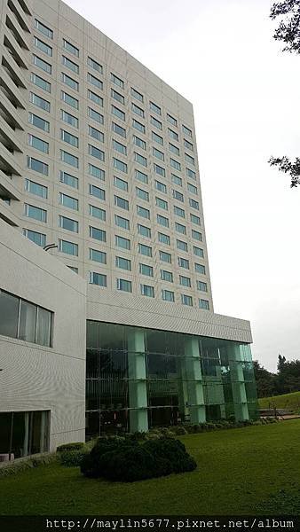 29543.jpg