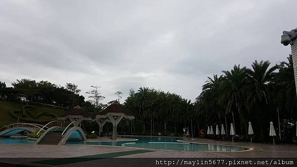 29544.jpg
