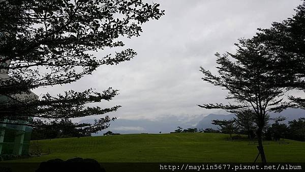 29545.jpg