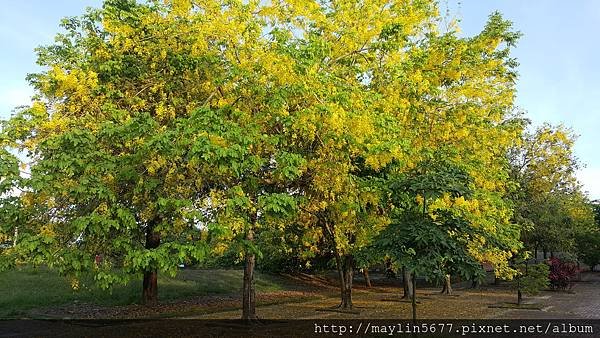 20160525_174201.jpg